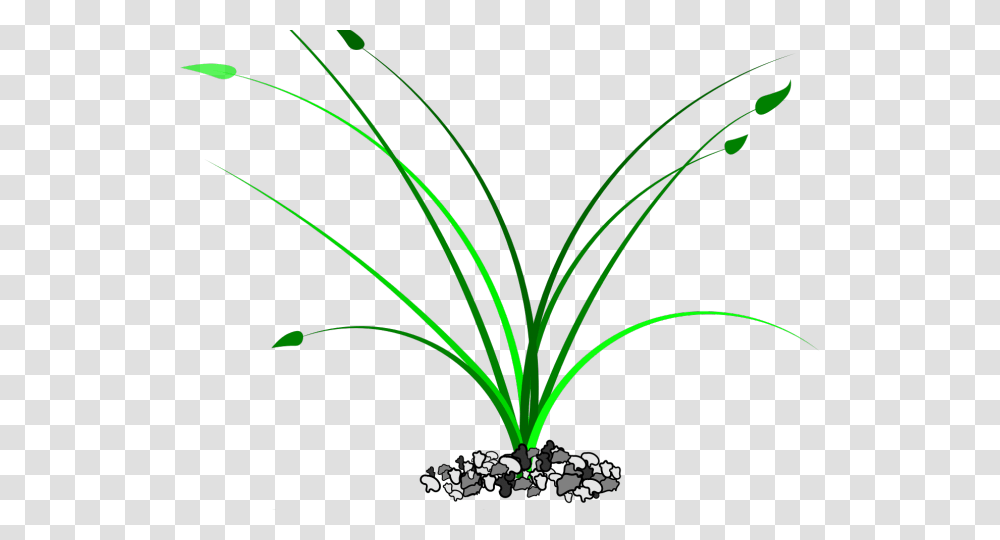 Drawn Weed Grass Patch Clip Art, Light, Laser, Pattern Transparent Png