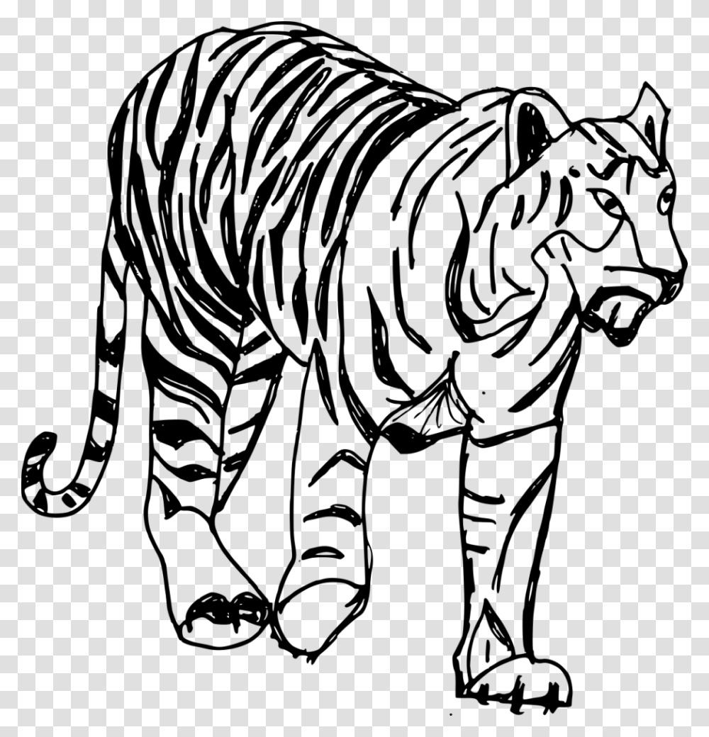 Drawn White Tiger Teacup Tiger Drawing, Gray, World Of Warcraft Transparent Png