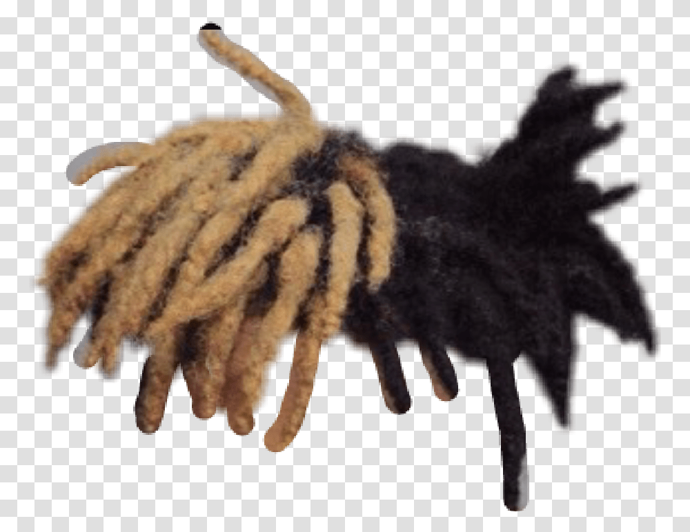 Dreadlock Dread Drawing Dreadlock Hairstyle Xxxtentacion Hair Sticker, Animal, Mammal, Hook, Claw Transparent Png