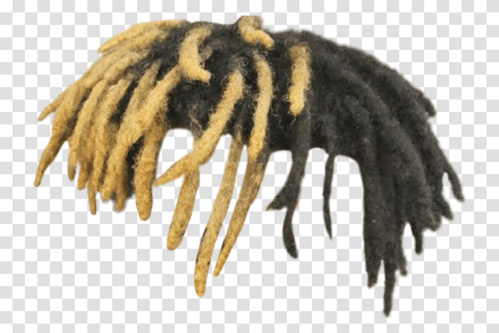 Dreadlocks Xxxtentacion Ripxxxtentacion Xxxtentacion Hair, Nature, Outdoors, Cave, Animal Transparent Png