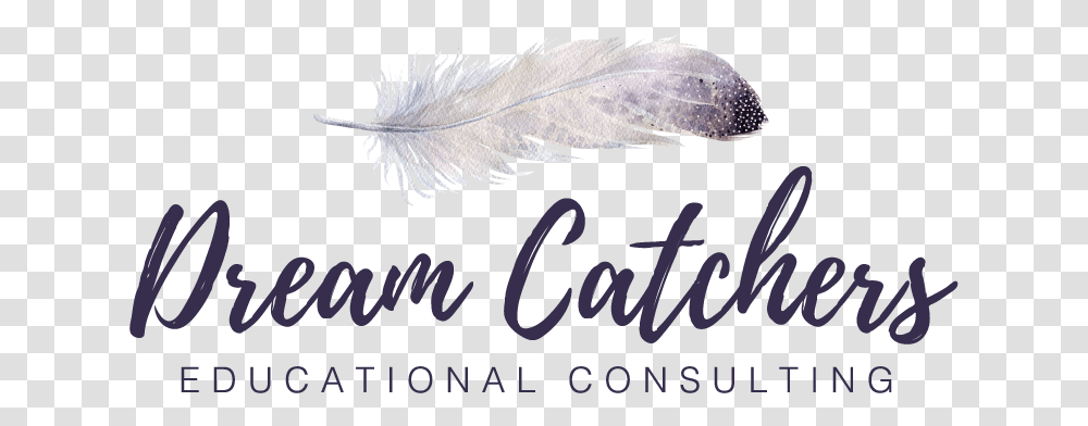 Dream Catchers Educational Consulting Calligraphy, Text, Leaf, Plant, Handwriting Transparent Png