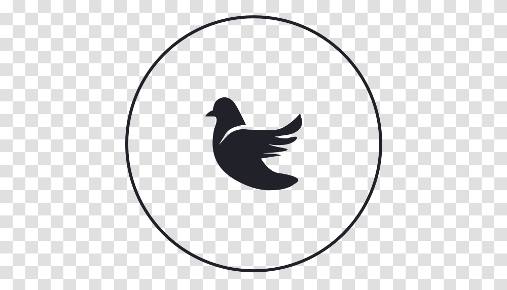 Dream Icon With And Vector Format For Free Unlimited Download, Bird, Animal, Pigeon, Dove Transparent Png