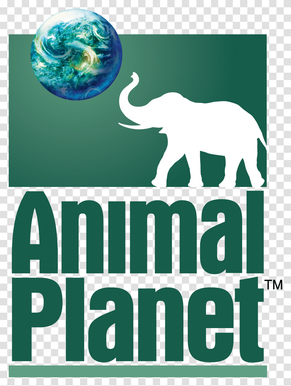 Dream Logos Wiki Logo De Animal Planet, Sphere, Outer Space, Astronomy, Universe Transparent Png