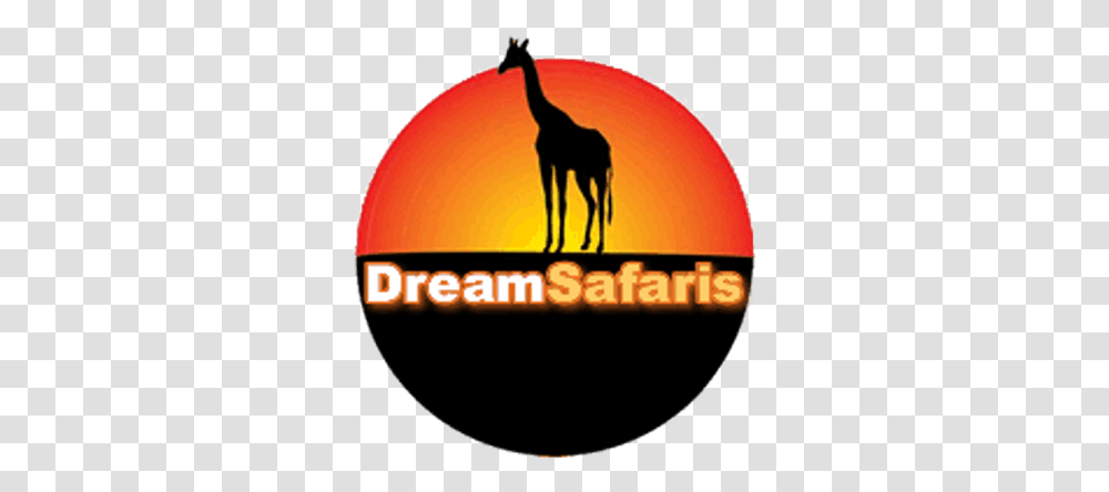 Dreamsafaris Giraffe, Logo, Symbol, Trademark Transparent Png