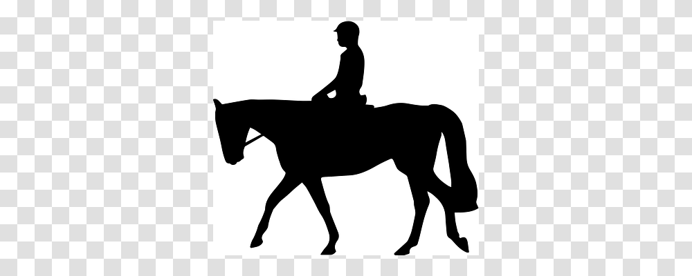 Dressage Silhouette, Horse, Mammal, Animal Transparent Png