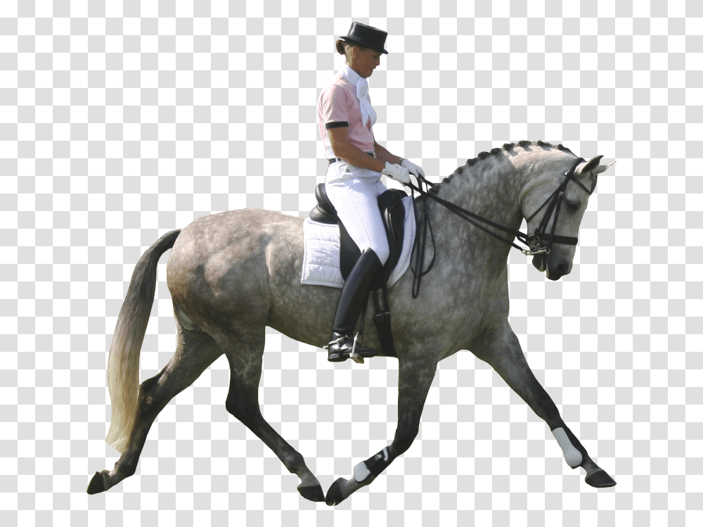 Dressage Horse Dressage Horse White Background, Mammal, Animal, Person Transparent Png