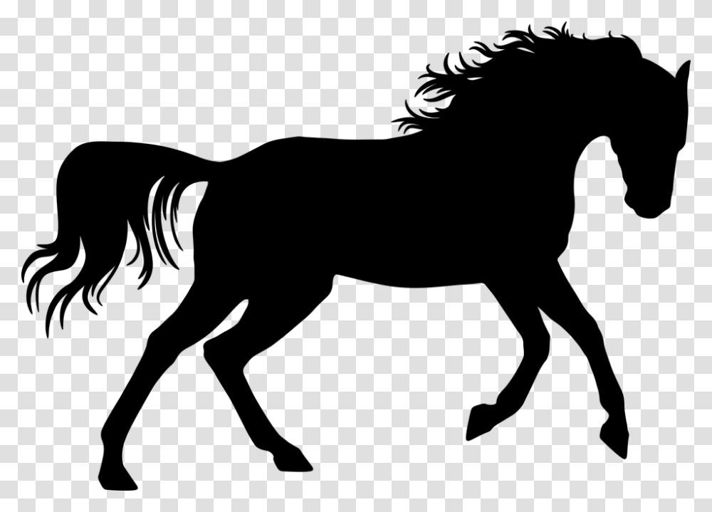 Dressage Horse Silhouette, Gray, World Of Warcraft Transparent Png
