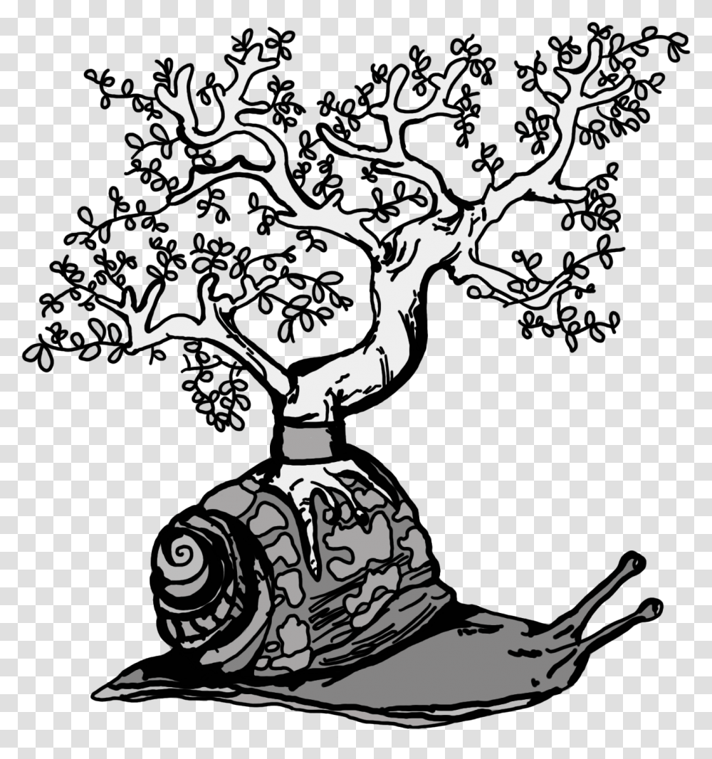 Dribbble Snailpng By Jack O Illustration, Plant, Tree, Person, Art Transparent Png