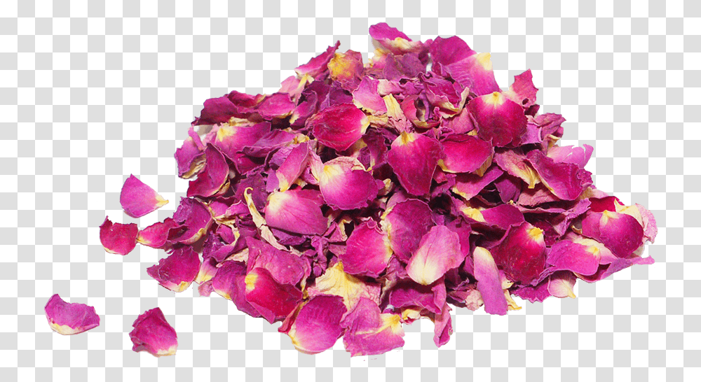 Dried Damask Rose Petals, Flower, Plant, Blossom, Geranium Transparent Png