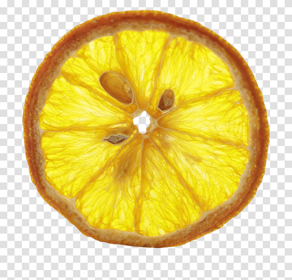 Dried Orange, Citrus Fruit, Plant, Food, Lemon Transparent Png