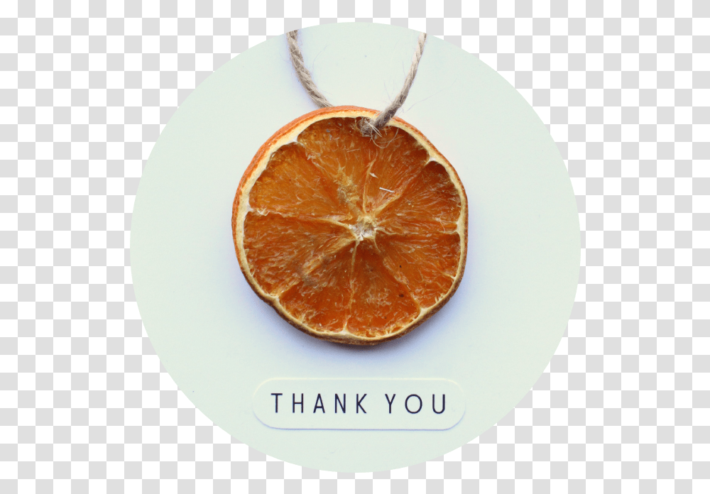Dried Orange Slice Card Shelley Makes Clementine, Citrus Fruit, Plant, Food, Grapefruit Transparent Png
