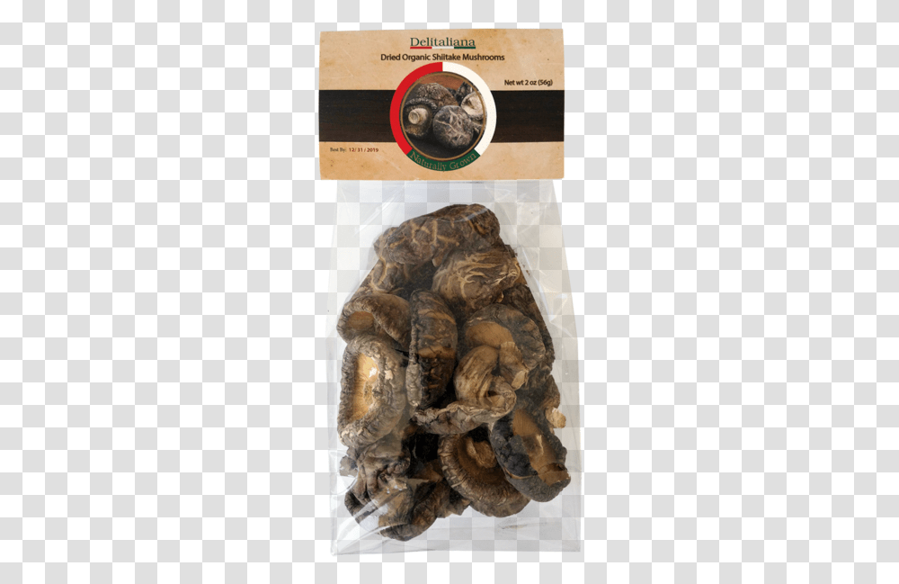 Dried Organic Shiitake Mushrooms 2 Ounce Andouillette, Plant, Painting, Food, Turtle Transparent Png