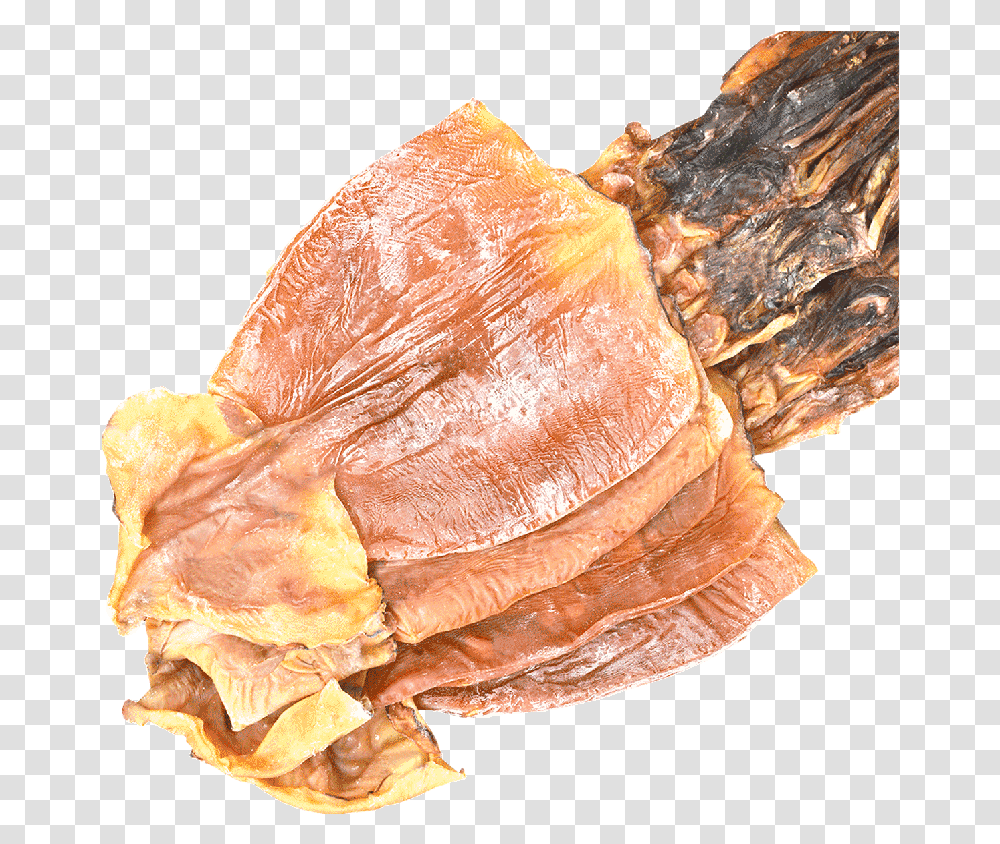 Dried Squid, Fungus, Jewelry, Accessories, Gemstone Transparent Png