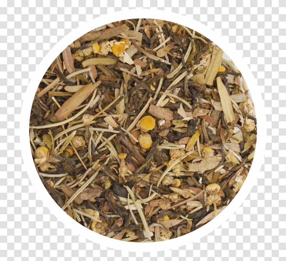 Dried Tea Leaves, Plant, Herbal, Herbs, Planter Transparent Png