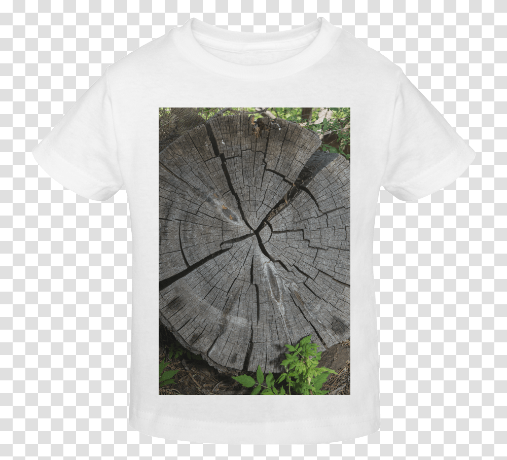 Dried Tree Stump Sunny Youth T Shirt Tree Stump, Apparel, T-Shirt, Plant Transparent Png