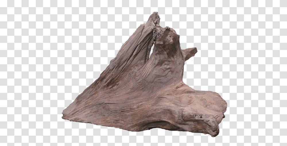 Driftwood 1 Solid, Soil, Archaeology, Horse, Mammal Transparent Png
