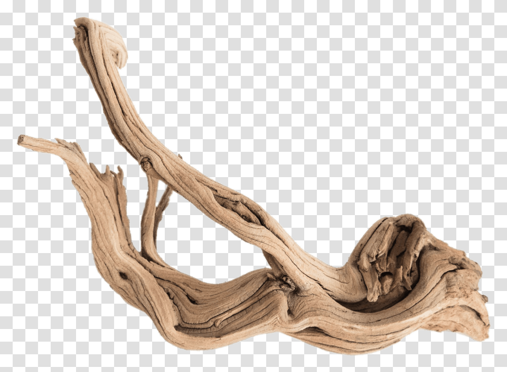 Driftwood, Antler, Snake, Reptile, Animal Transparent Png