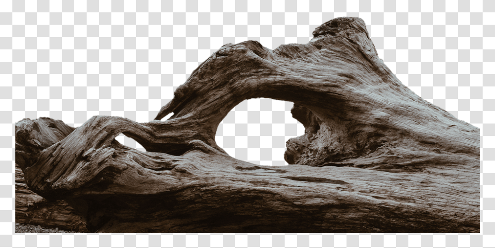 Driftwood Clipart Tree Logs Background, Nature, Cave, Outdoors, Water Transparent Png