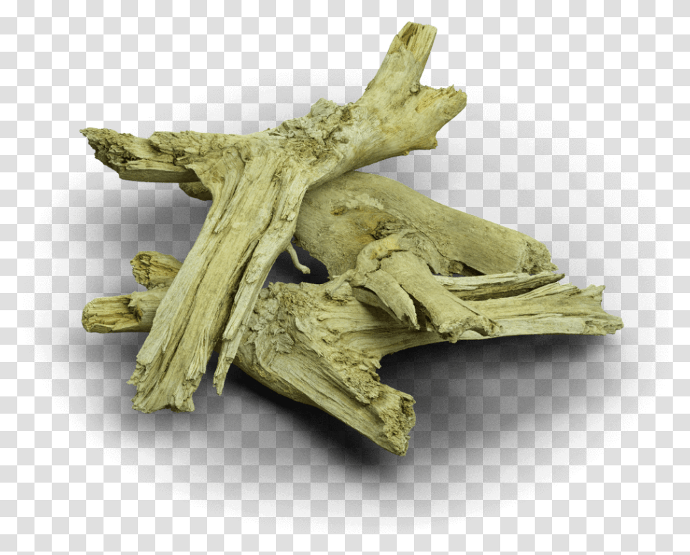 Driftwood, Cross, Bird, Animal Transparent Png