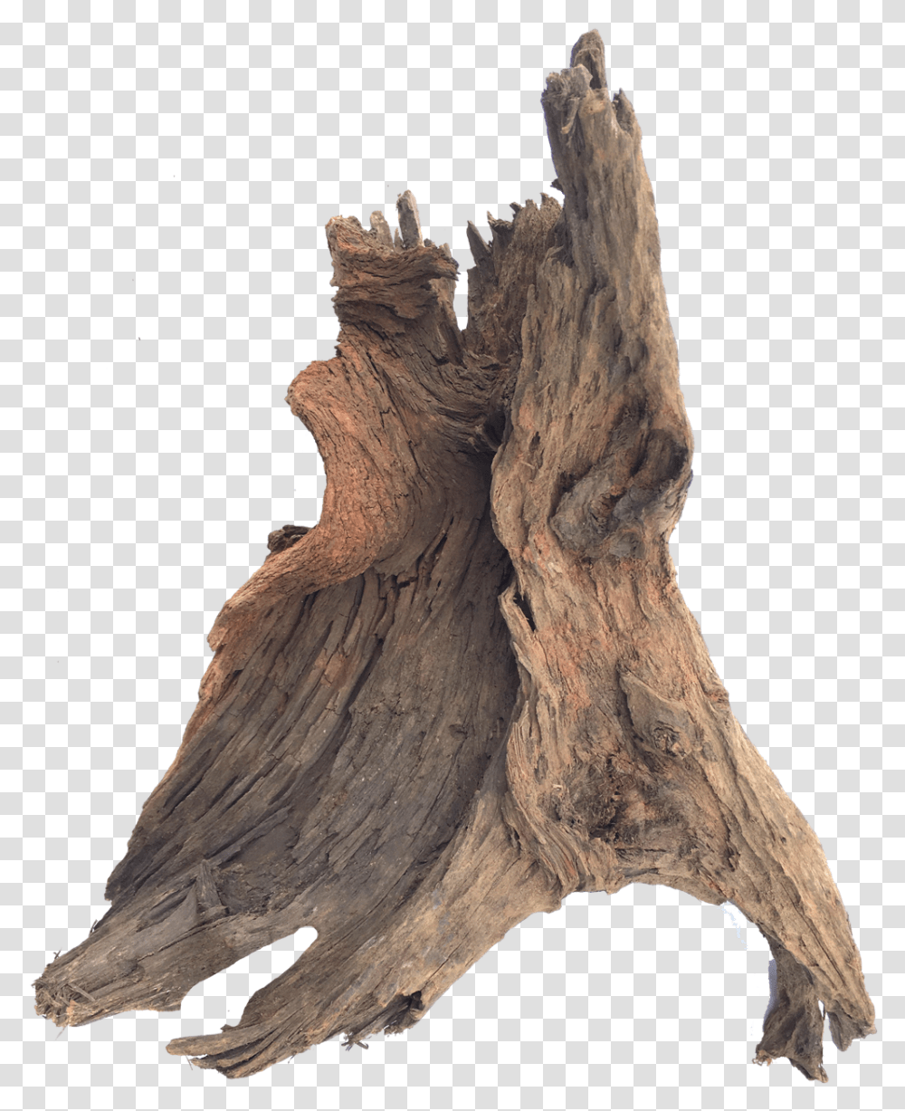 Driftwood Driftwood Background, Nature, Outdoors, Cliff, Rock Transparent Png