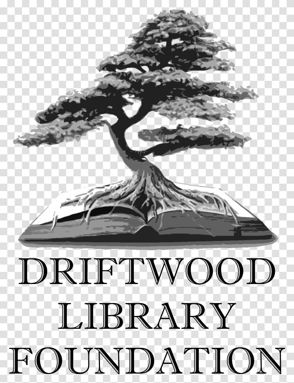 Driftwood Library Foundation Sageretia Theezans, Potted Plant, Vase, Jar, Pottery Transparent Png
