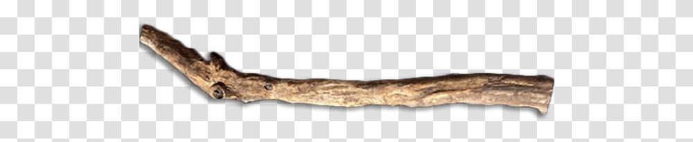Driftwood, Tool, Animal, Room, Indoors Transparent Png