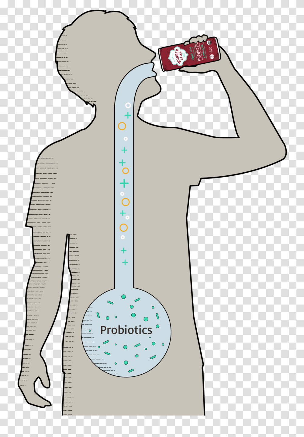 Drinking Cartoon, Plot, Diagram, Measurements, Axe Transparent Png