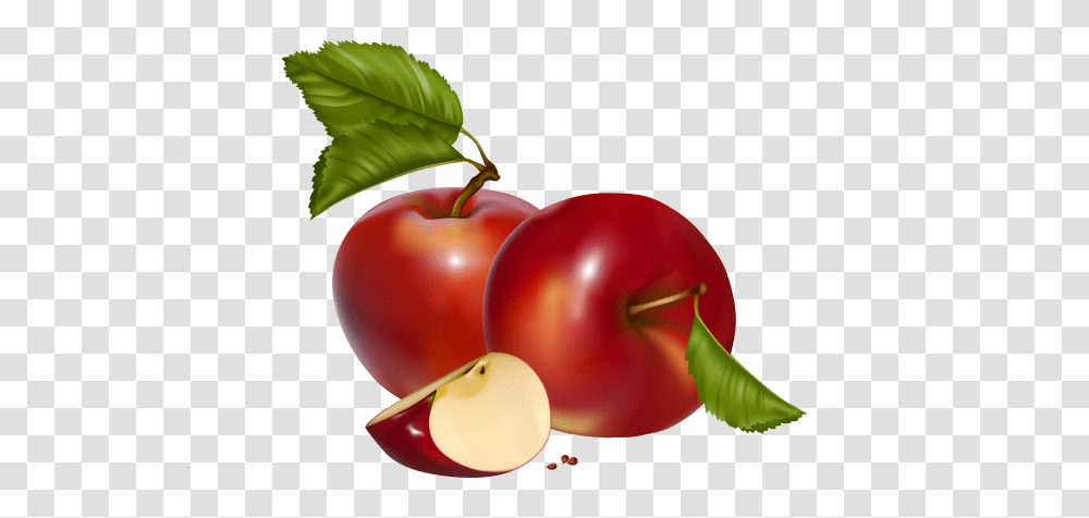 Drinks, Plant, Fruit, Food, Cherry Transparent Png