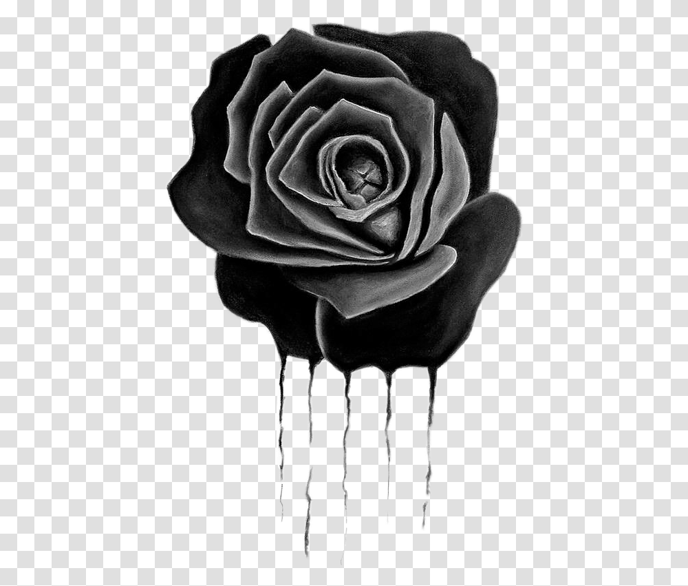 Drippingrose Dripping Blackrose Rose Chanelfreetoedit Drawing, Flower, Plant, Blossom Transparent Png
