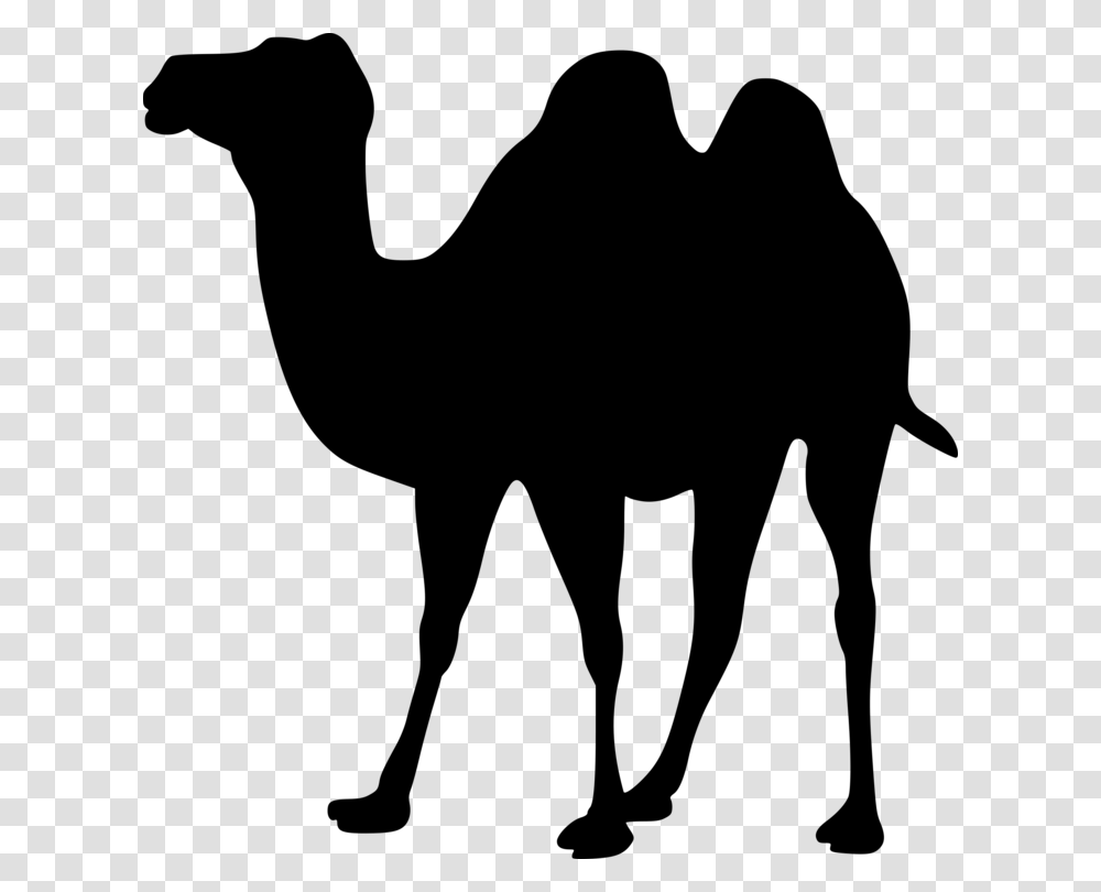 Dromedary Bactrian Camel Animal Silhouettes Camel Train Free, Gray, World Of Warcraft Transparent Png