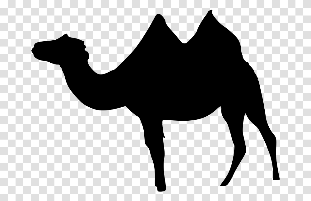 Dromedary Bactrian Camel Llama Wadi Rum Clip Art, Gray, World Of Warcraft Transparent Png