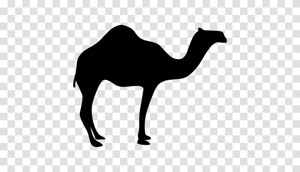 Dromedary Bactrian Camel Silhouette Clip Art, Mammal, Animal, Blow Dryer, Appliance Transparent Png