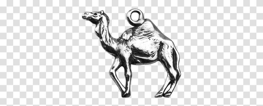 Dromedary Camel Arabian Camel, Animal, Mammal, Horse, Person Transparent Png