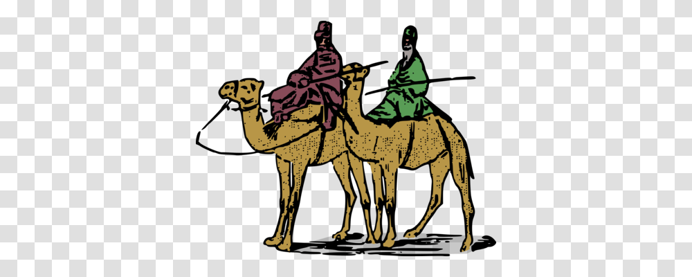 Dromedary Ottoman Empire Desert, Mammal, Animal, Horse, Person Transparent Png
