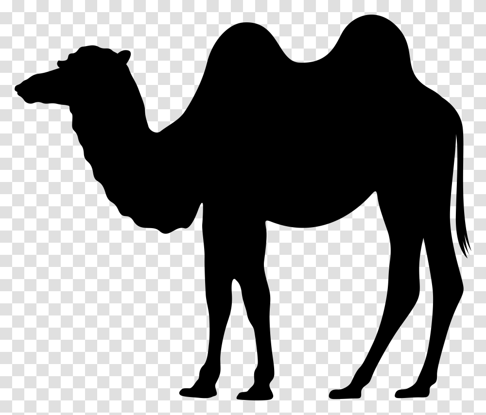 Dromedary Silhouette Clip Art, Gray, World Of Warcraft Transparent Png