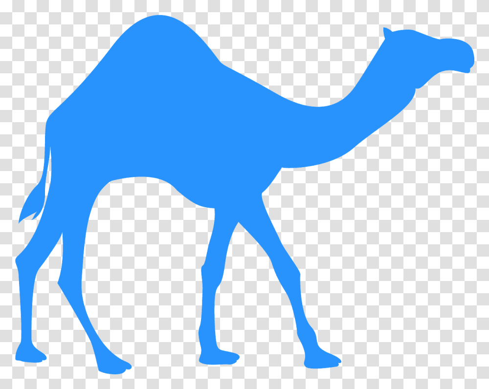 Dromedrio Silhueta, Camel, Mammal, Animal, Person Transparent Png