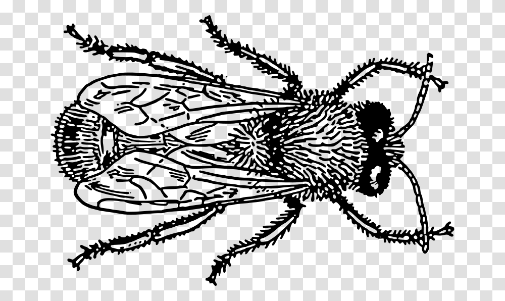 Drone 1 Vector Graphics, Gray, World Of Warcraft Transparent Png