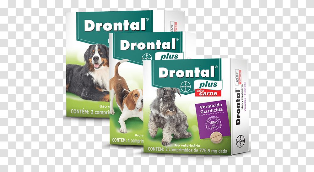 Drontal Plus Carne Remedio De Verme Para Cachorro, Dog, Pet, Canine, Animal Transparent Png