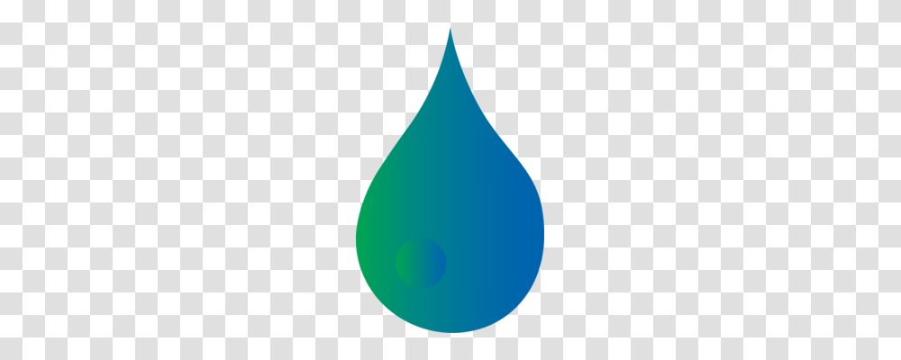 Drop Computer Icons Drawing Download, Plant, Droplet, Tree, Lighting Transparent Png