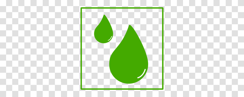 Drop Computer Icons Drawing Water Cartoon, Droplet, Plant, Tennis Ball, Sport Transparent Png