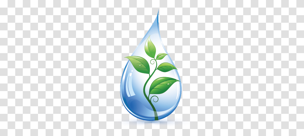 Drop Leaf Logo Template Illustration, Droplet Transparent Png