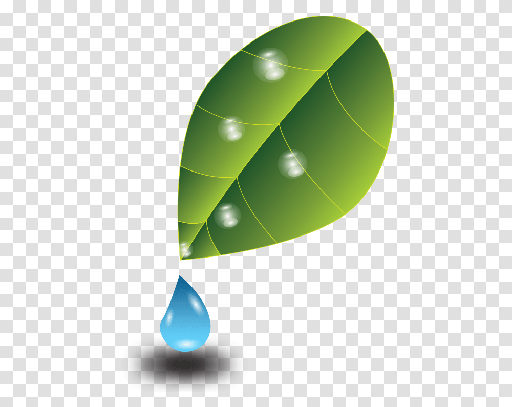 Drop, Leaf, Plant, Droplet, Green Transparent Png