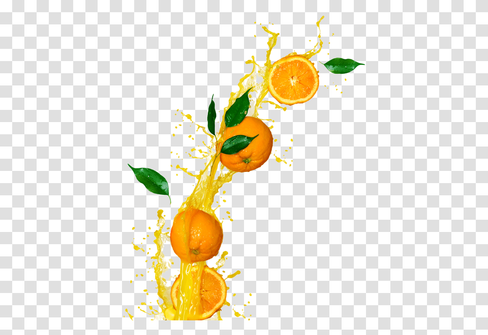 Drop Orange Juice Orange Juice, Plant, Citrus Fruit, Food, Beverage Transparent Png