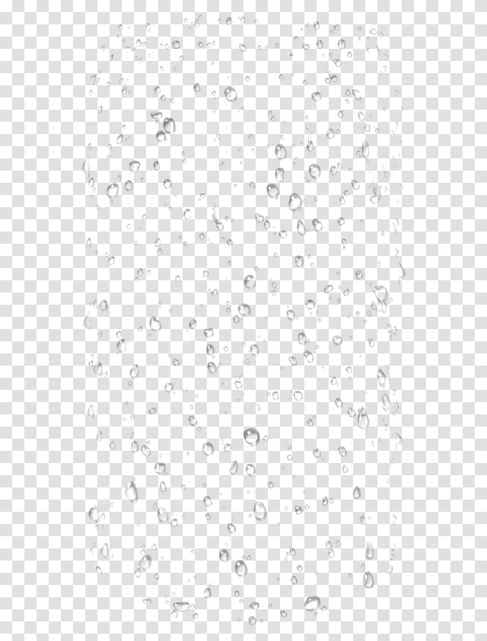 Droplets Of Water, Christmas Tree, Ornament, Plant, Paper Transparent Png