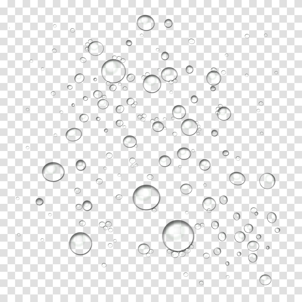 Drops, Nature, Christmas Tree, Ornament, Plant Transparent Png