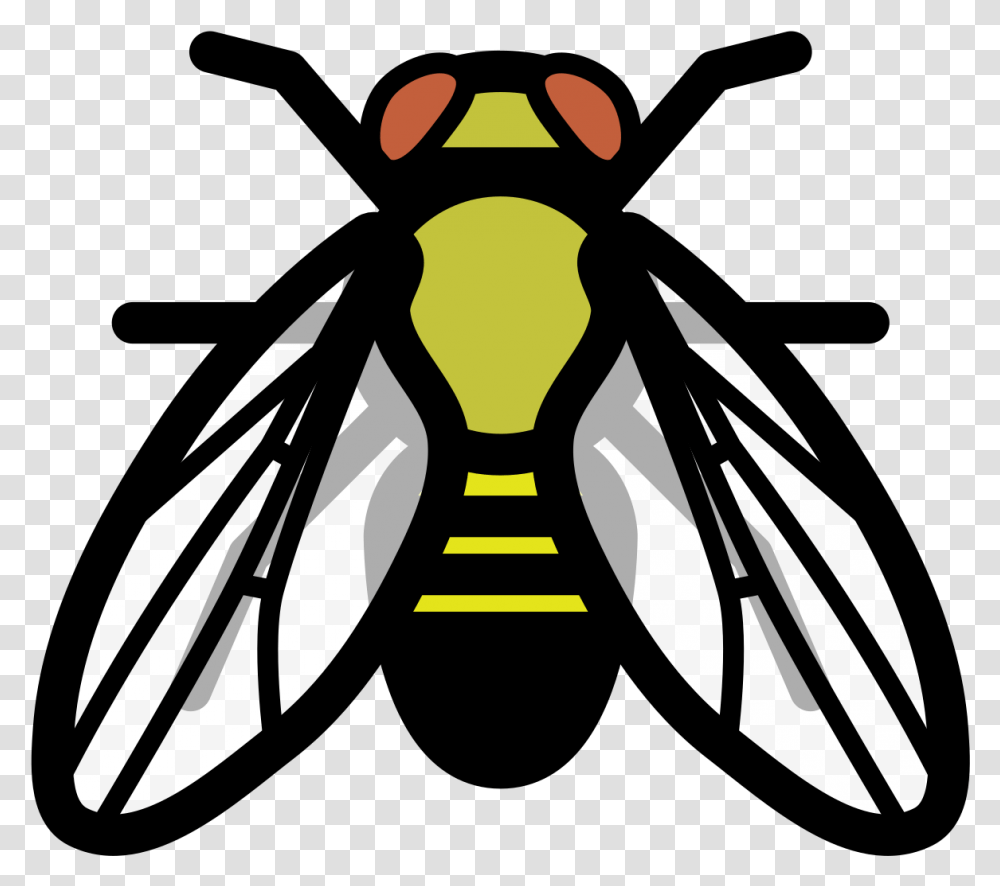 Drosophila Melanogaster Clip Art, Wasp, Bee, Insect, Invertebrate Transparent Png