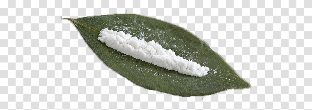 Drug Cocaine Dans Le Coca, Leaf, Plant, Food, Crystal Transparent Png