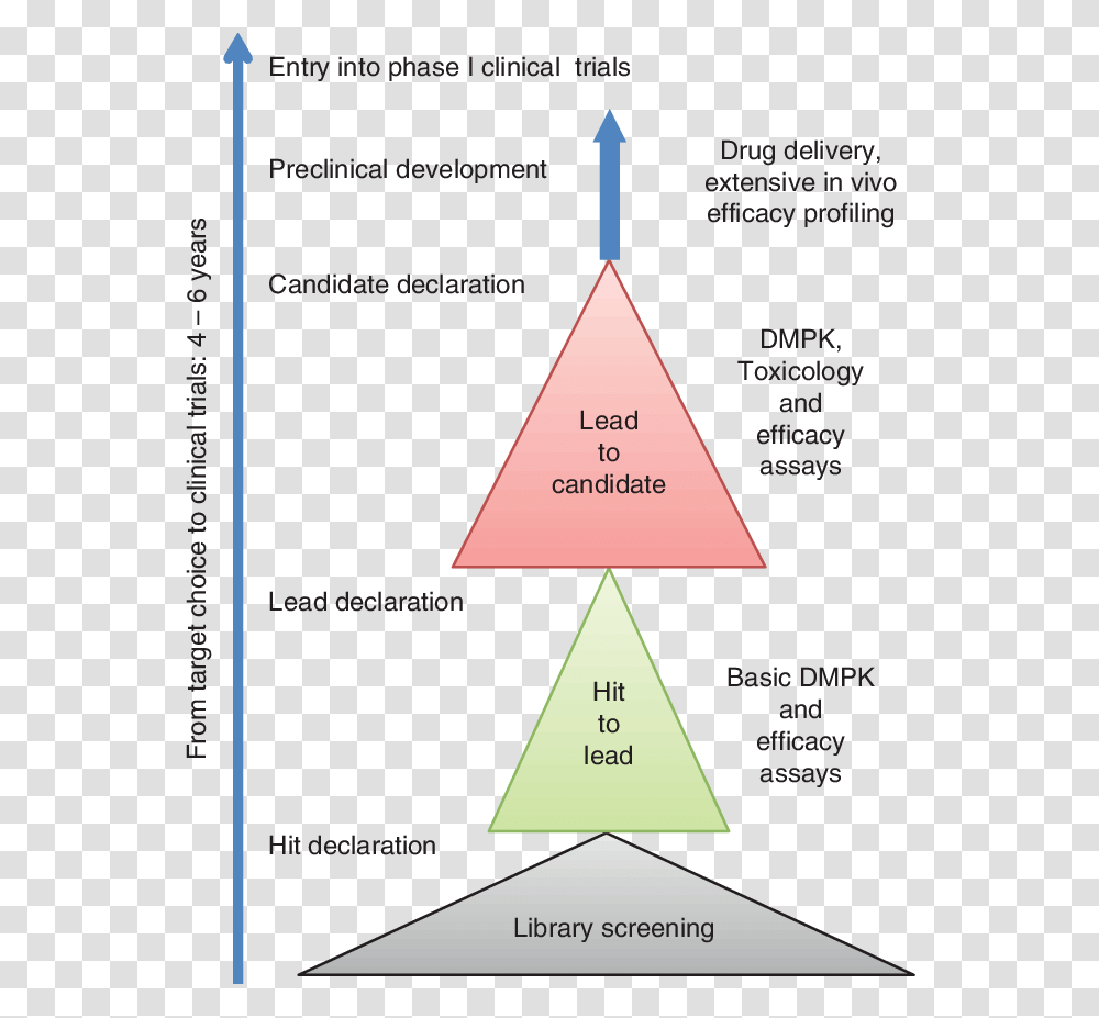 Drug Discovery Outline, Triangle, Flyer, Poster, Paper Transparent Png