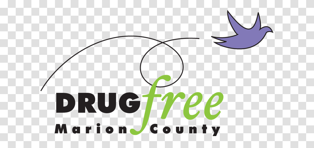 Drug Needle Drug Free Marion County Logo, Label, Alphabet Transparent Png