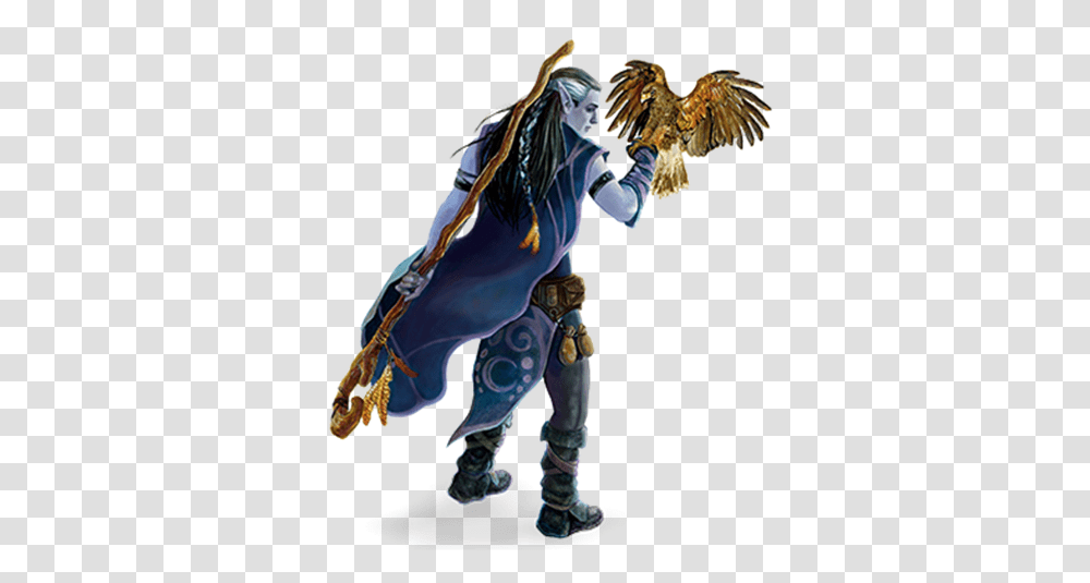 Druid Class For Dungeons Dragons Dungeons And Dragons Druid, Person, Animal, Art, Bird Transparent Png